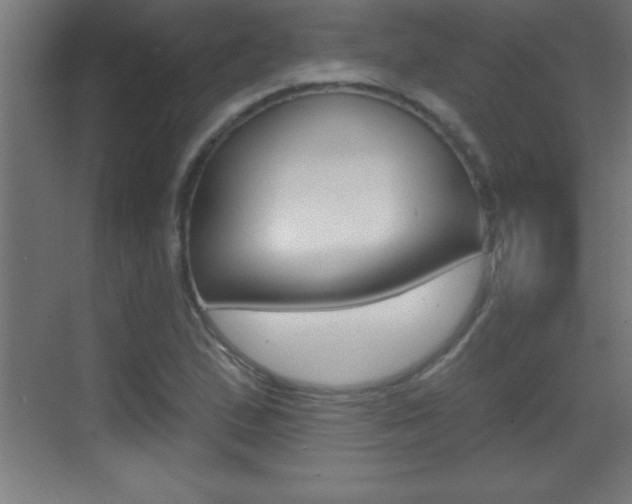 X0000069791167200605190836