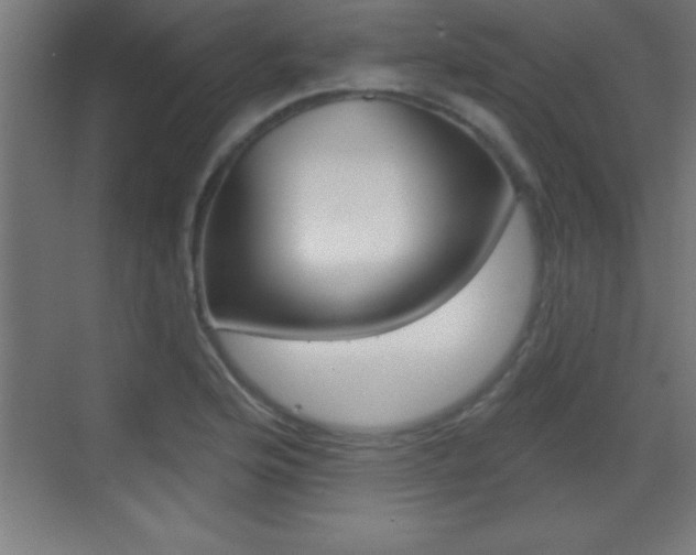 X0000069791176200605190836