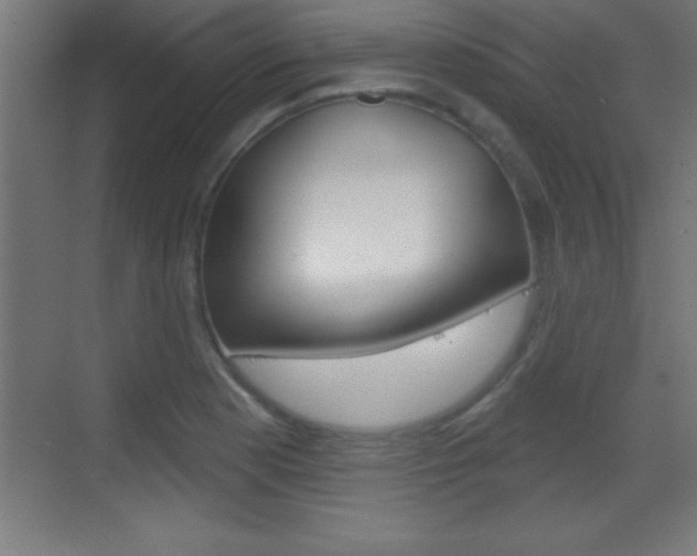 X0000069791177200605190836