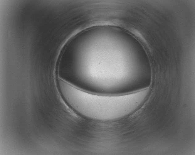 X0000069791181200605190836