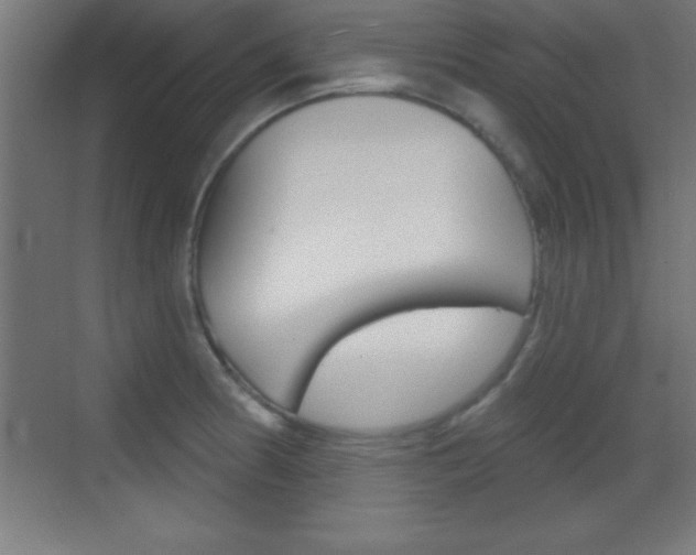X0000069791186200605190836