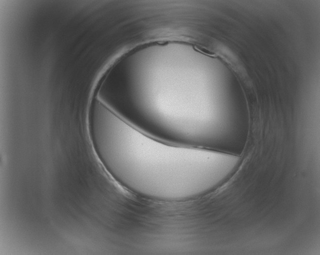 X0000069791188200605190836