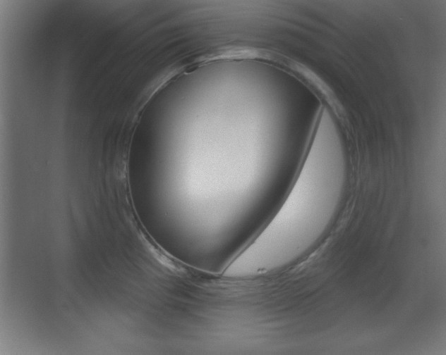 X0000069791193200605190835