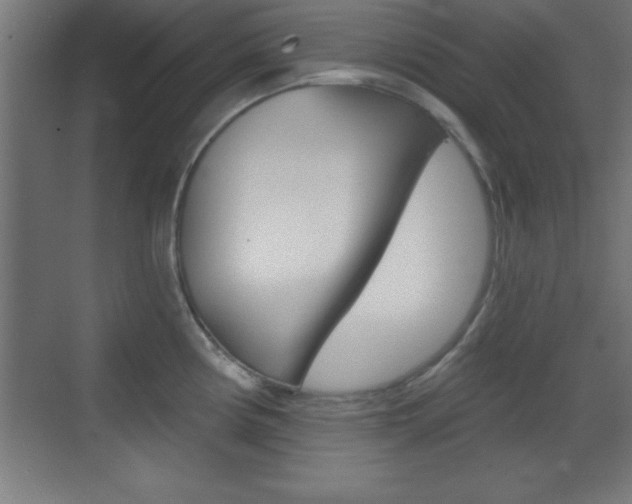 X0000069791194200605190835