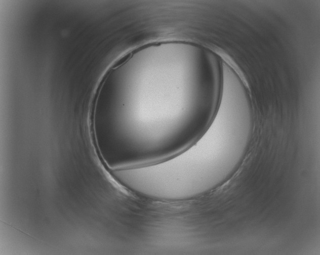 X0000069791197200605190835