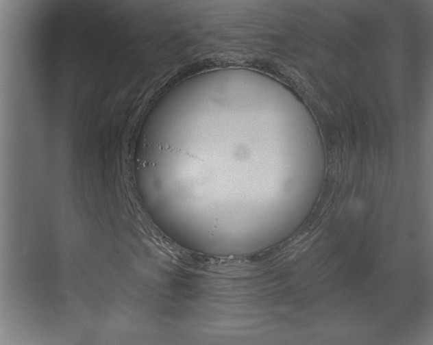 X0000069791201200605190835