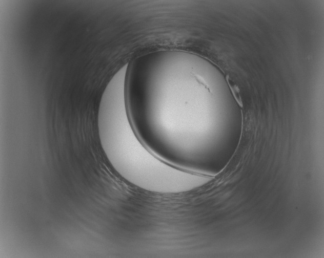 X0000069791202200605190835