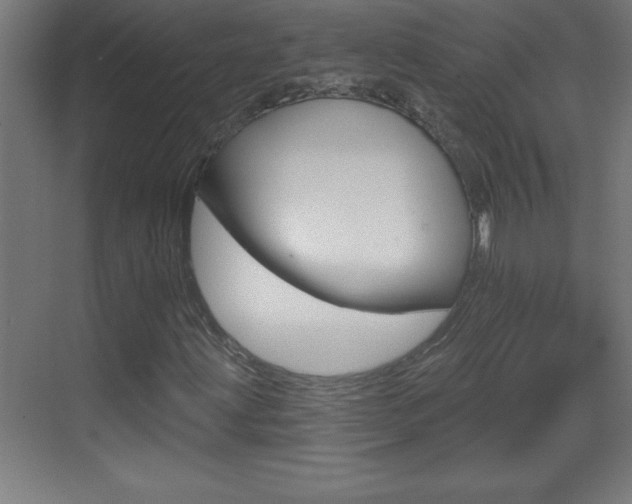 X0000069791203200605190835