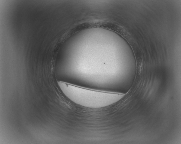 X0000069791204200605190835