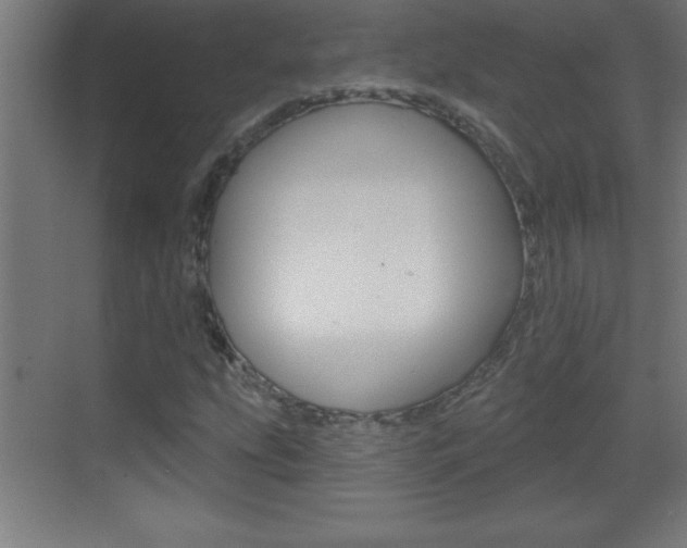 X0000069791207200605190835