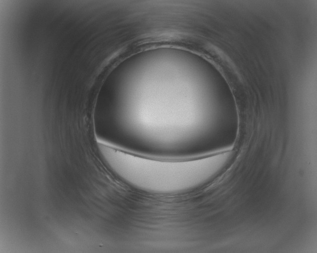 X0000069791210200605190835