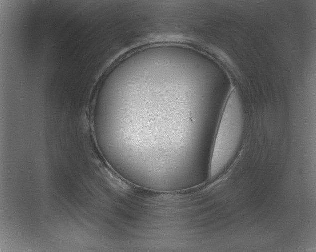 X0000069791212200605190835