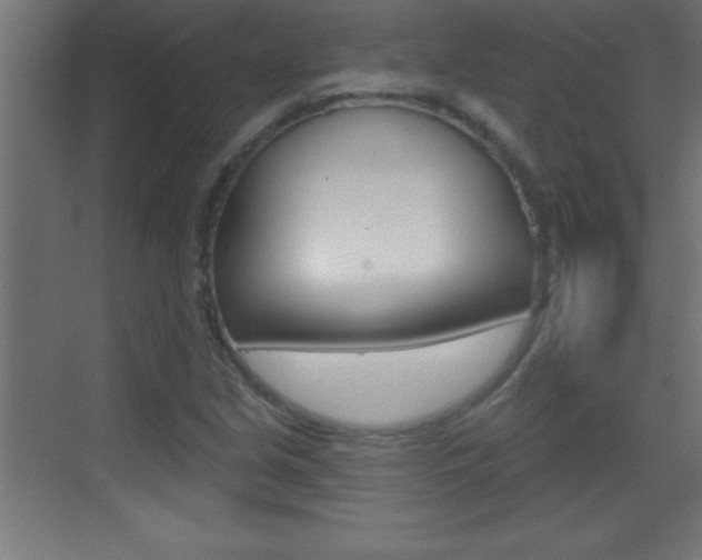 X0000069791213200605190835