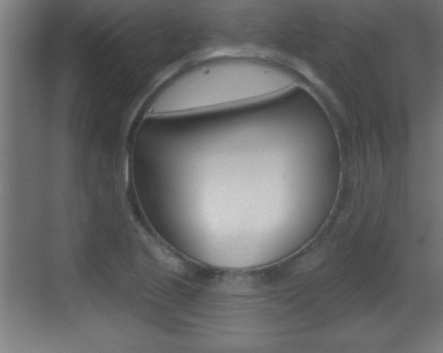 X0000069791221200605190835