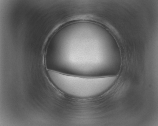 X0000069791224200605190835