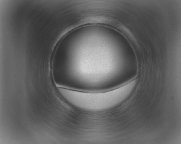 X0000069791226200605190835