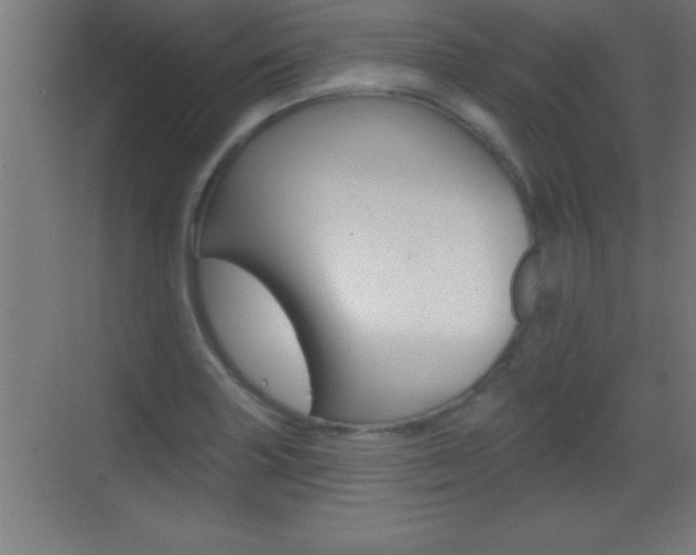 X0000069791227200605190835