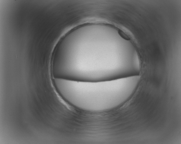 X0000069791231200605190835