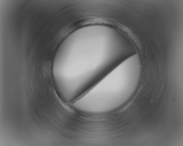 X0000069791233200605190835