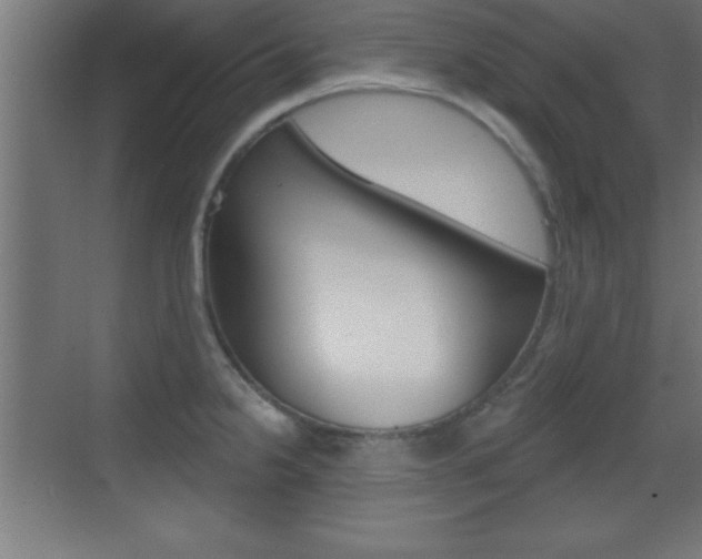 X0000069791238200605190835
