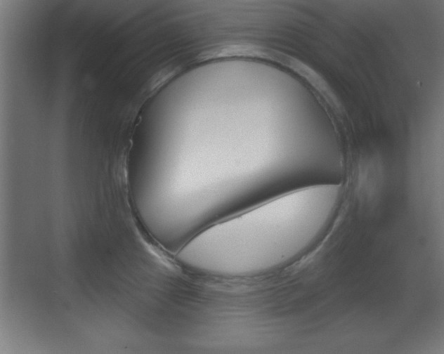 X0000069791241200605190835