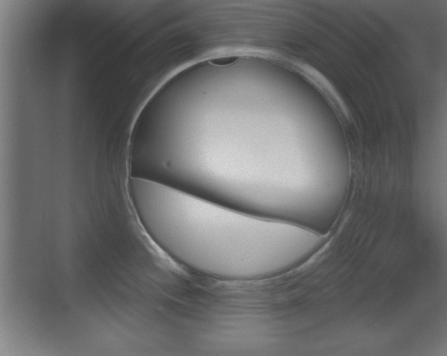 X0000069791244200605190835