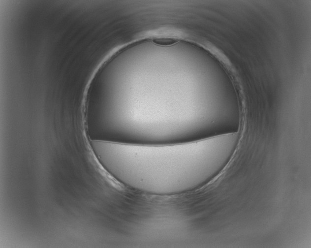 X0000069791248200605190835