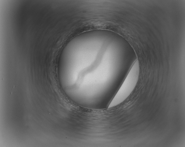X0000069791249200605190835