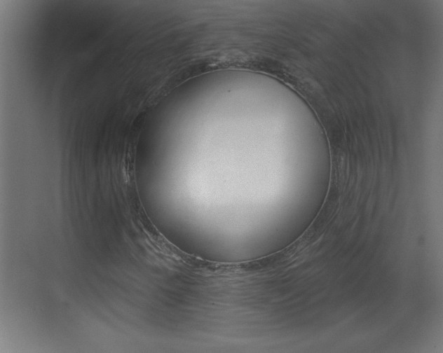 X0000069791250200605190835