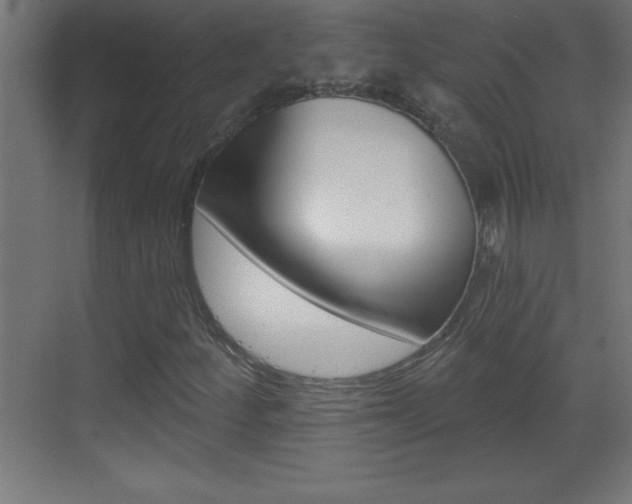 X0000069791252200605190834
