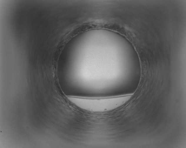 X0000069791253200605190834