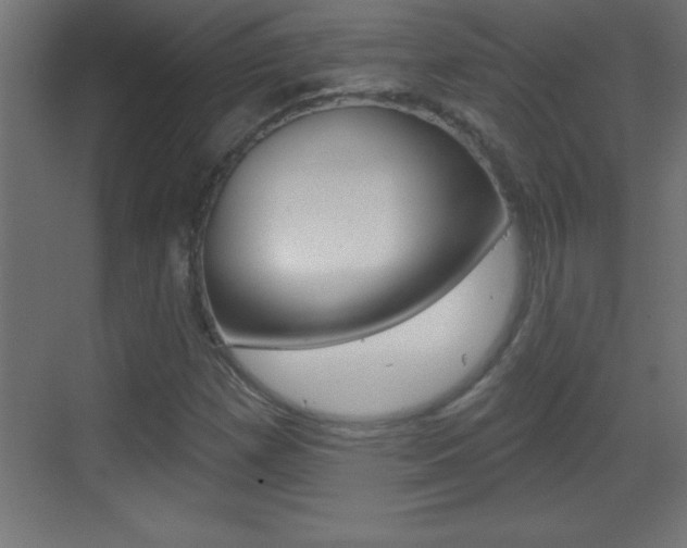 X0000069791257200605190834