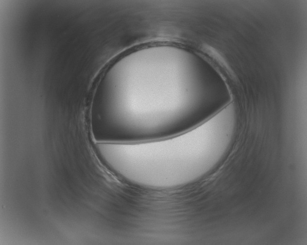 X0000069791260200605190834