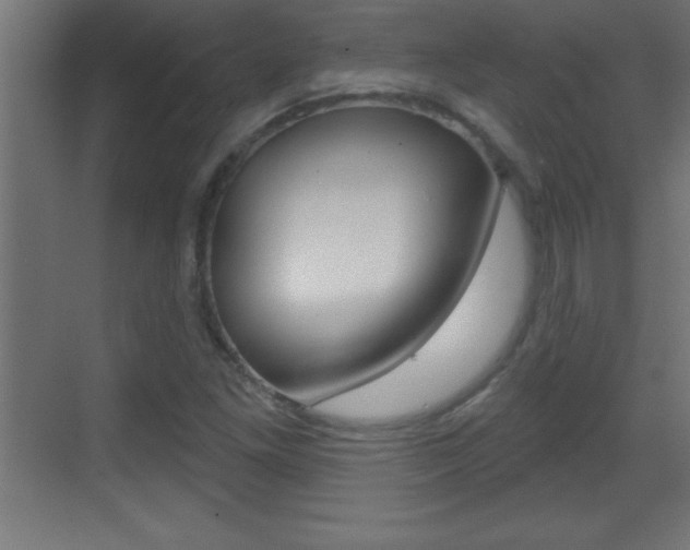 X0000069791261200605190834