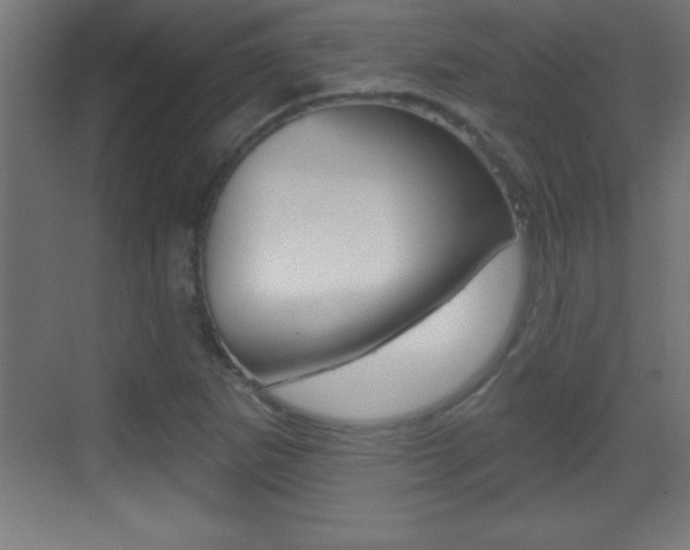 X0000069791265200605190834