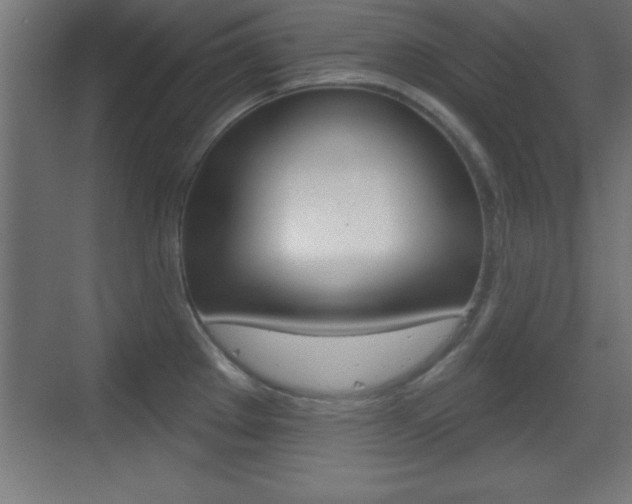 X0000069791289200605190834