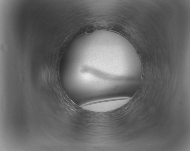 X0000069791297200605190833