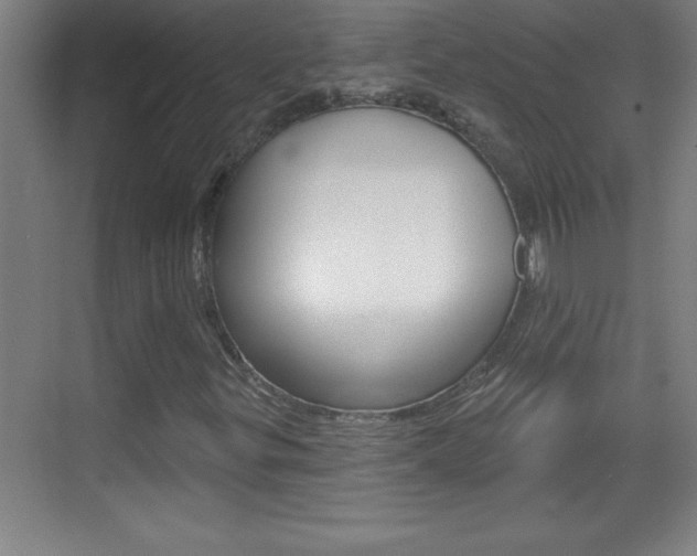 X0000069791299200605190833