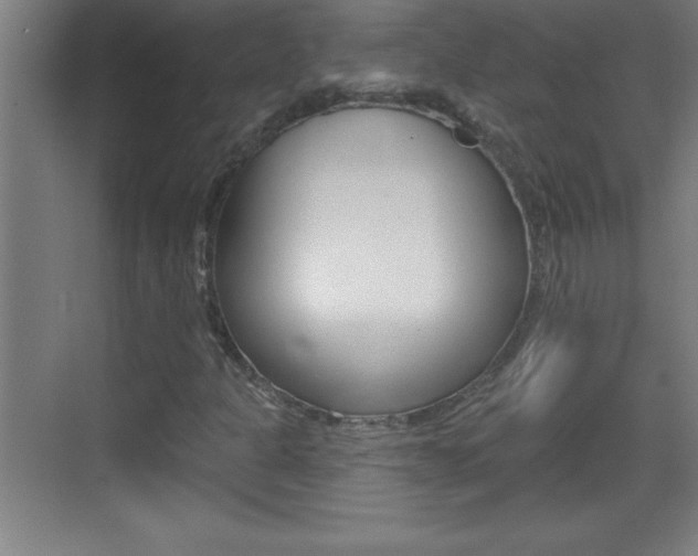 X0000069791301200605190833