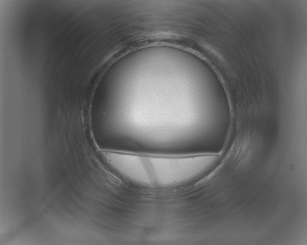 X0000069791305200605190833