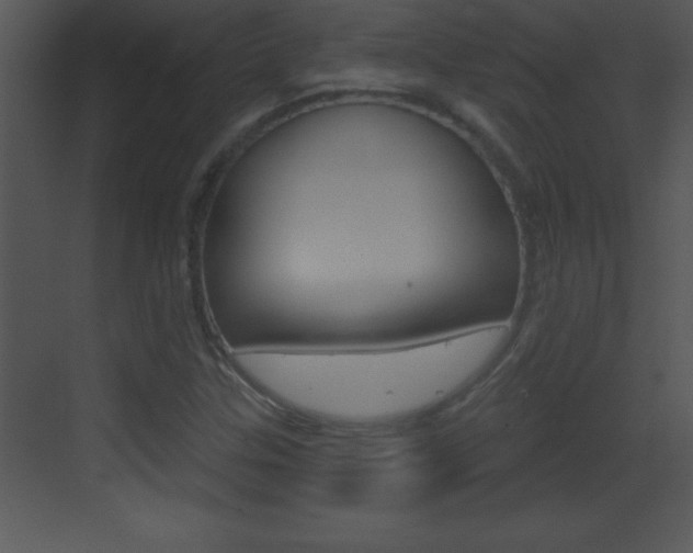 X0000069791307200605190833