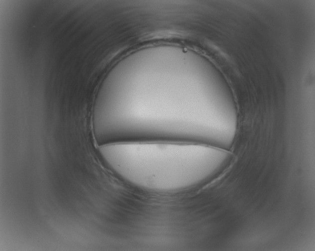 X0000069791313200605190833