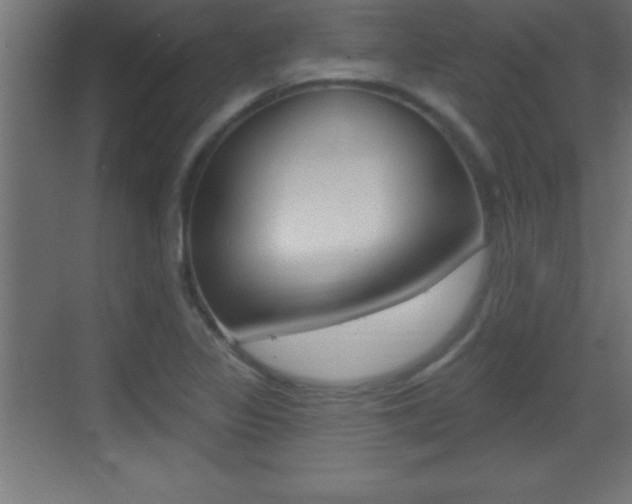 X0000069791317200605190833