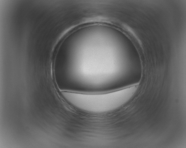 X0000069791320200605190833