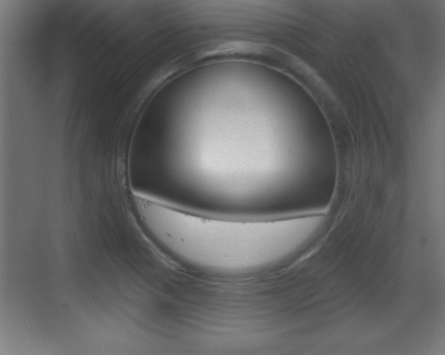 X0000069791321200605190833