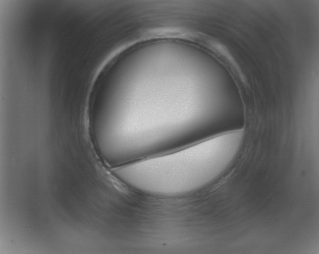 X0000069791328200605190833