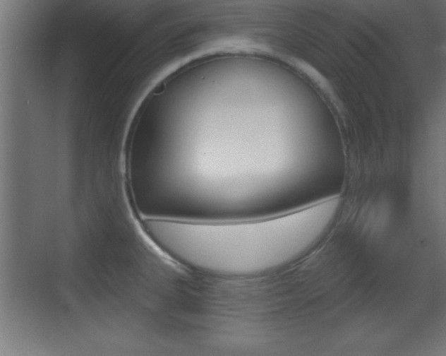 X0000069791335200605190834