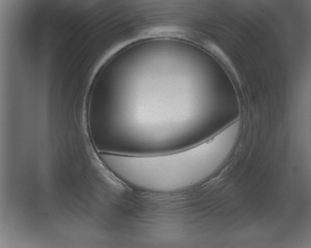 X0000069791336200605190834