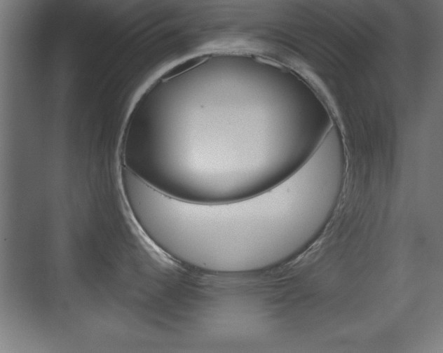 X0000069791344200605190834