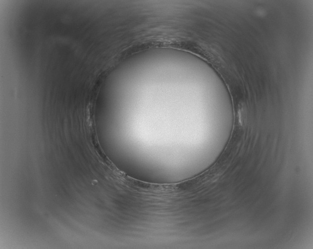 X0000069791347200605190833